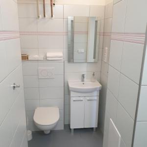 een witte badkamer met een toilet en een wastafel bij Greg Apartments Kampa Prague in Praag