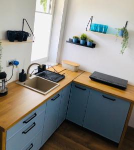 Η κουζίνα ή μικρή κουζίνα στο Domki Apartamentowe Orłówka