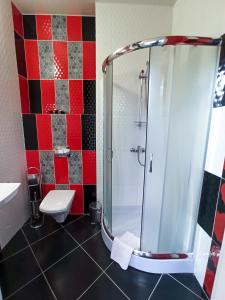 a bathroom with a shower and a toilet at Apartments On Zaliznychna 49 in Ivano-Frankivsk
