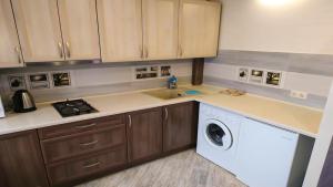 a kitchen with a sink and a washing machine at Apartments On Zaliznychna 49 in Ivano-Frankivsk