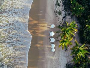 an overhead view of a beach with palm trees and the ocean at Canto Leela Eco Bungalows in Serra Grande