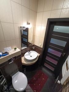 a bathroom with a sink and a toilet and a mirror at Apartments On Zaliznychna 49 in Ivano-Frankivsk