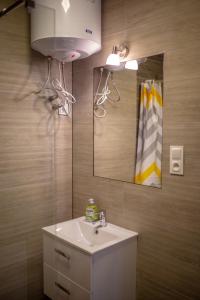 un baño con lavabo y espejo en Apartamenty Pasternik 7, en Suchedniów