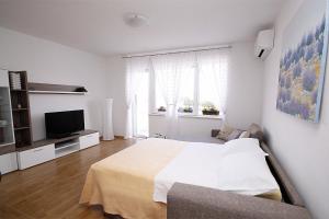 Televízia a/alebo spoločenská miestnosť v ubytovaní City Center Accommodation