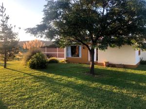 ein Haus mit einem Baum im Hof in der Unterkunft Casa de campo La Querencia in Villa Cura Brochero