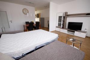 Televízia a/alebo spoločenská miestnosť v ubytovaní City Center Accommodation