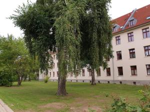 Zahrada ubytování Unterkunft Greifswald