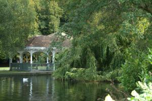 un gazebo sul lato di un lago con un albero di The Fitzwilliam Hotel a Dublino