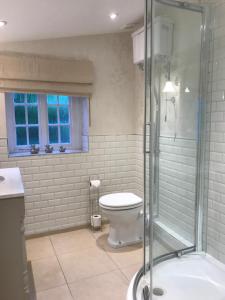 a bathroom with a toilet and a glass shower at The Burrow in Chideock +23 photos