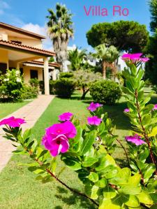 um arbusto com flores cor-de-rosa em frente a uma casa em Villa Ro em Porto Columbu - Perdʼe Sali
