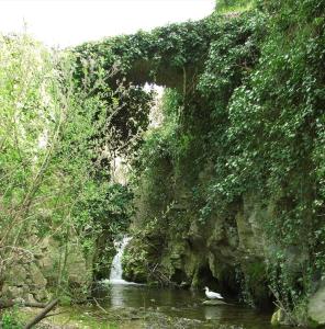une rivière avec une cascade à côté d'un mur de roche dans l'établissement Habitacion de la marquesa, à Alcoleja