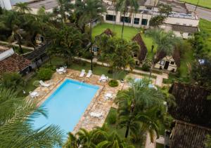 アラシャーにあるHotel Dona Bejaのヤシの木のあるプールの上空からの眺め