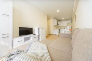 a living room with a couch and a flat screen tv at Smart House 7 in Kyiv