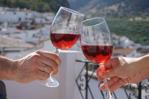 dos personas sosteniendo copas de vino tinto en Los Trigos, Casa Rural en Montejaque