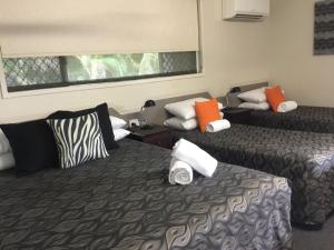 a hotel room with two beds and a window at Golden Palms Motor Inn in Bundaberg