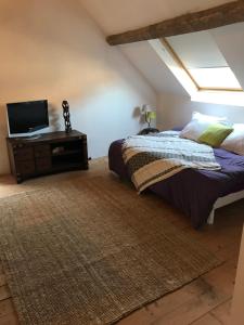 a bedroom with a bed and a tv on a table at Chez leo in Marboué