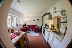 a kitchen and a living room with a table in a room at Ferienwohnung VILLA FRÜBING in Ilmenau +19 photos