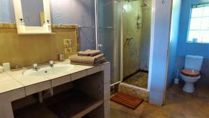 a bathroom with a sink and a shower with a toilet at Blyde Mountain Country House in Hoedspruit