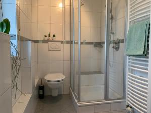 ein Bad mit einer Dusche und einem WC in der Unterkunft Ferienoberwohnung in Villa Pesca in Cloppenburg