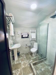 Koupelna v ubytování Villa Royal + 37 fotografií