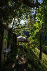 a path in a field with a sink in the woods at Panorama Jurte Über Dem Uri-See A in Sisikon