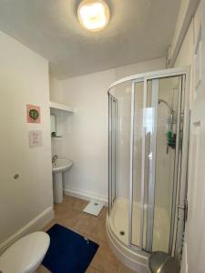 W łazience znajduje się prysznic, toaleta i umywalka. w obiekcie Radanks House - Fratton w mieście Portsmouth