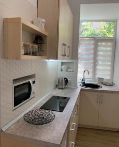 eine Küche mit einer Theke mit einer Spüle und einer Mikrowelle in der Unterkunft Siesta apartment on Stefanyka in Lwiw