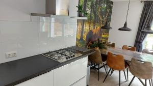 a kitchen with a stove and a counter top at 't Edelhert in Nunspeet