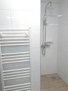 um chuveiro com uma porta de vidro na casa de banho em 't Edelhert em Nunspeet