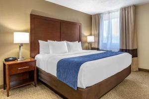 a hotel room with a large bed and a window at Comfort Inn Near Greenfield Village in Dearborn