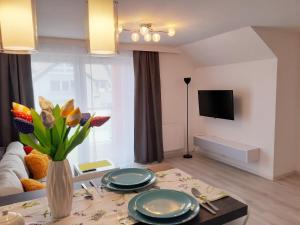 Televízia a/alebo spoločenská miestnosť v ubytovaní Apartamenty Asis