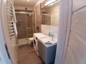 Kúpeľňa v ubytovaní Apartamenty Asis