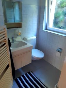 uma casa de banho com um WC, um lavatório e uma janela em Apartment 2,5 Zimmer im Ferienhaus Damian em Braunwald
