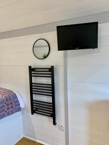 1 dormitorio con TV de pantalla plana y espejo en Shepherds Hut at Wern Mill en New Quay