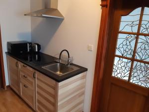 Kuchnia lub aneks kuchenny w obiekcie SECESJA HOUSE