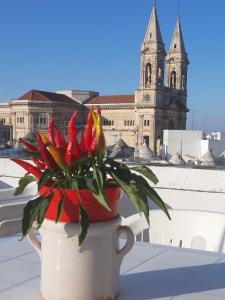 Eine Pflanze in einem Topf auf einem Felsvorsprung mit einer Kirche in der Unterkunft Jarubed in Alberobello