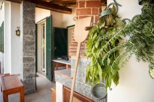 Fotografie z fotogalerie ubytování Casa Clò v destinaci Trecastagni