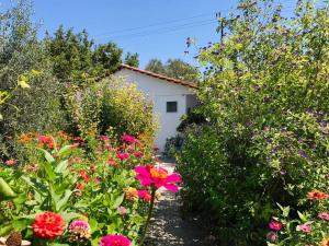 a garden with flowers in front of a house at Pension Zoi in Kolimbia