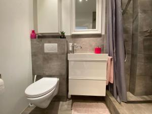 a bathroom with a toilet and a sink and a shower at Marienzimmer in Weibern