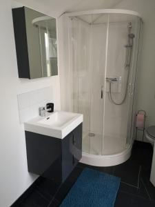 W łazience znajduje się biała umywalka i prysznic. w obiekcie Home Fontainebleau w mieście Fontainebleau