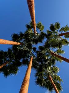 Fotografie z fotogalerie ubytování El botanico de Sagra v destinaci Sagra