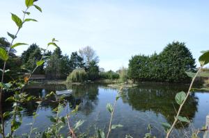 a view of a pond in a garden at Lakeside Old Hunstanton in Hunstanton