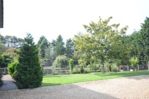 a bush in a yard with a lawn and trees at Lakeside Old Hunstanton in Hunstanton