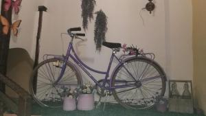 a purple bike parked in a room with flowers at El Soportalillo de la Fuente Vieja in Tendilla