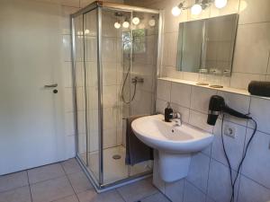 a bathroom with a sink and a shower at Apartment Lavendelgrün in Altenbamberg
