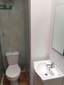 a bathroom with a white toilet and a sink at Guajara loft-balcon in La Laguna