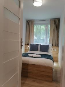 a bedroom with a bed with blue pillows and a window at City Apartments Warszawska in Zgorzelec