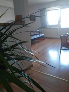 a room with a chair and a plant at Alexandar in Belgrade