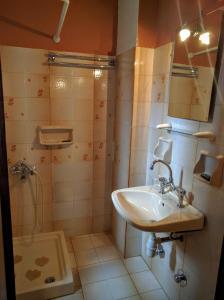 a bathroom with a sink and a shower at Katerina Apartments in Agios Ioannis Pelio