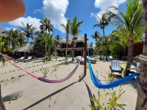 a beach with a blue and white beach chair and blue umbrellas at Beach Guesthouse Holbox Apartments & Suites in Holbox Island